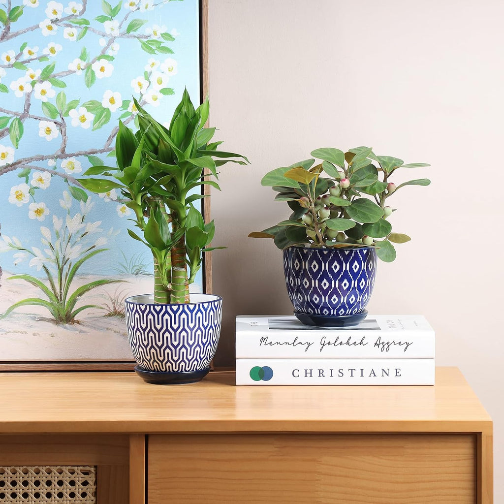 Selamica Ceramic Succulent Pots, 4.6 Inch Small Plant Pots with Drainage Holes & Saucers, Succulent Planters for Indoor