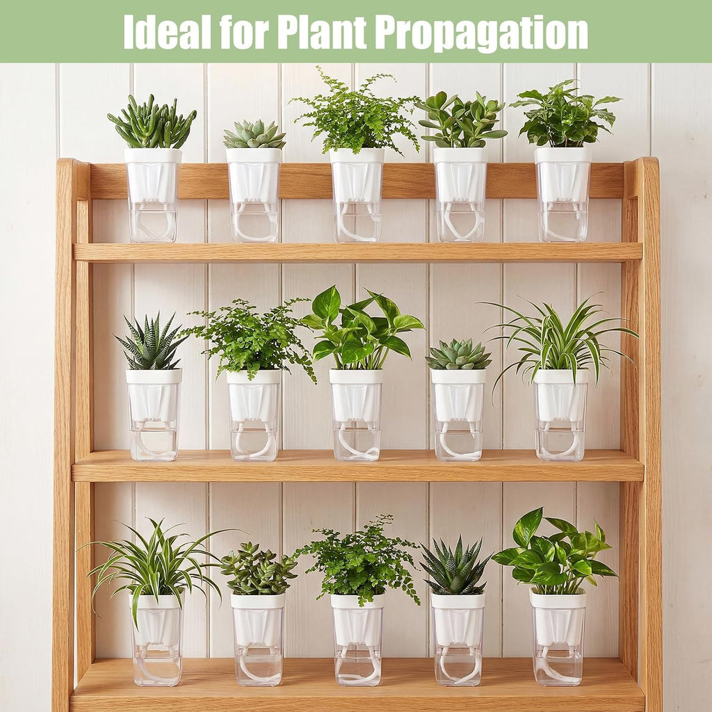 30 Pack 2" Small Self Watering Pots for Indoor Plants Clear Mini Self Watering Plant Pot with Water Level, Drainage