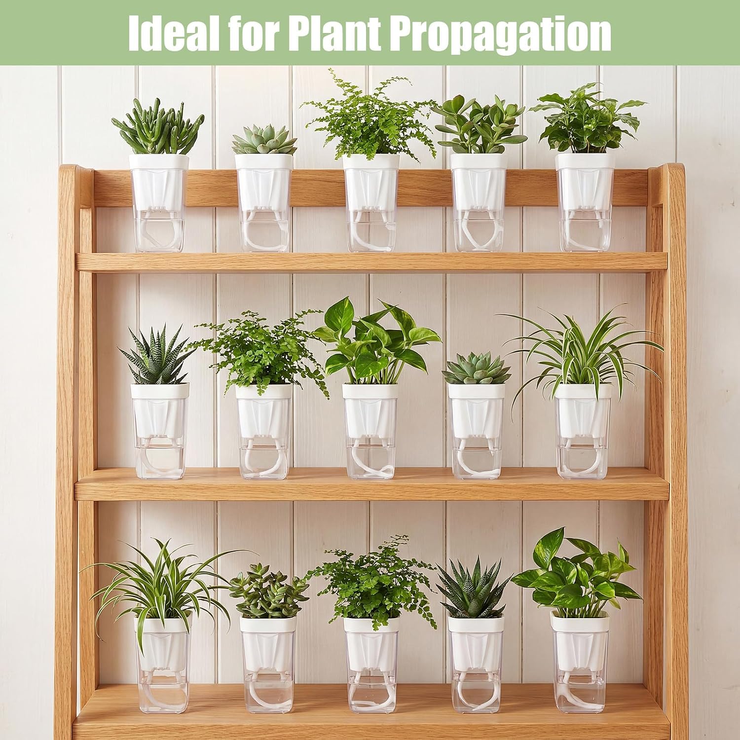 30 Pack 2" Small Self Watering Pots for Indoor Plants Clear Mini Self Watering Plant Pot with Water Level, Drainage