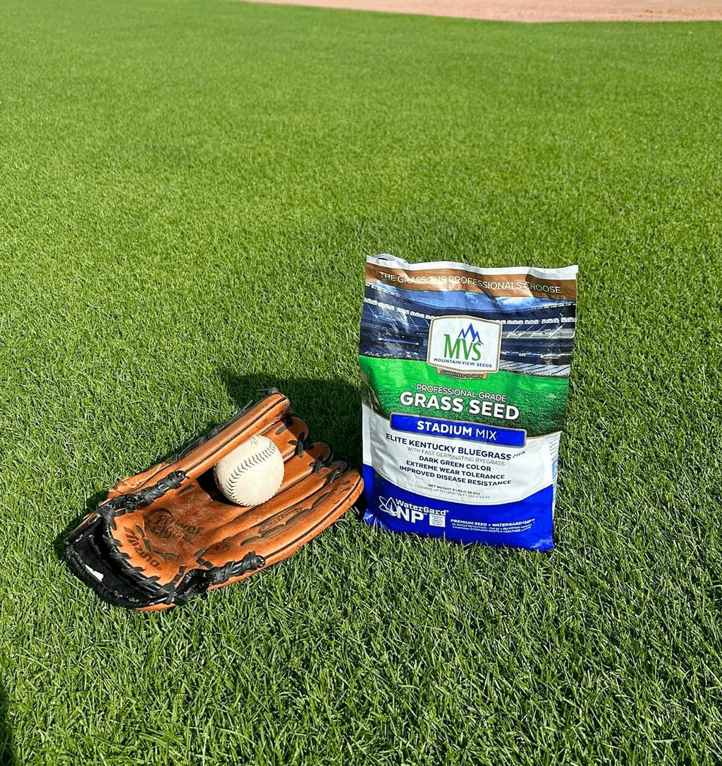 The Andersons Stadium Mix Kentucky Bluegrass Grass Seed - 3 lbs.