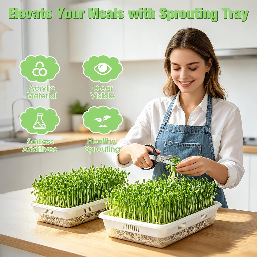 3 Pack Hard Acrylic Microgreens Growing Trays, Visual Soilless Sprouting Kit with Silicone Mats & Spray Bottle, Seed