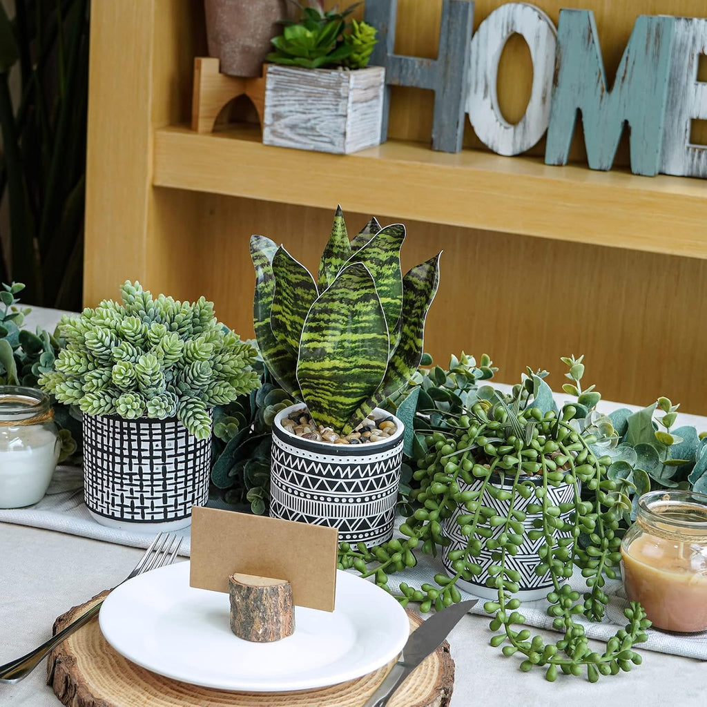 Winlyn 3 Pcs Small Potted Plants Artificial Succulents Hanging Plants and Faux Tropical Snake Plant in Black Geometric