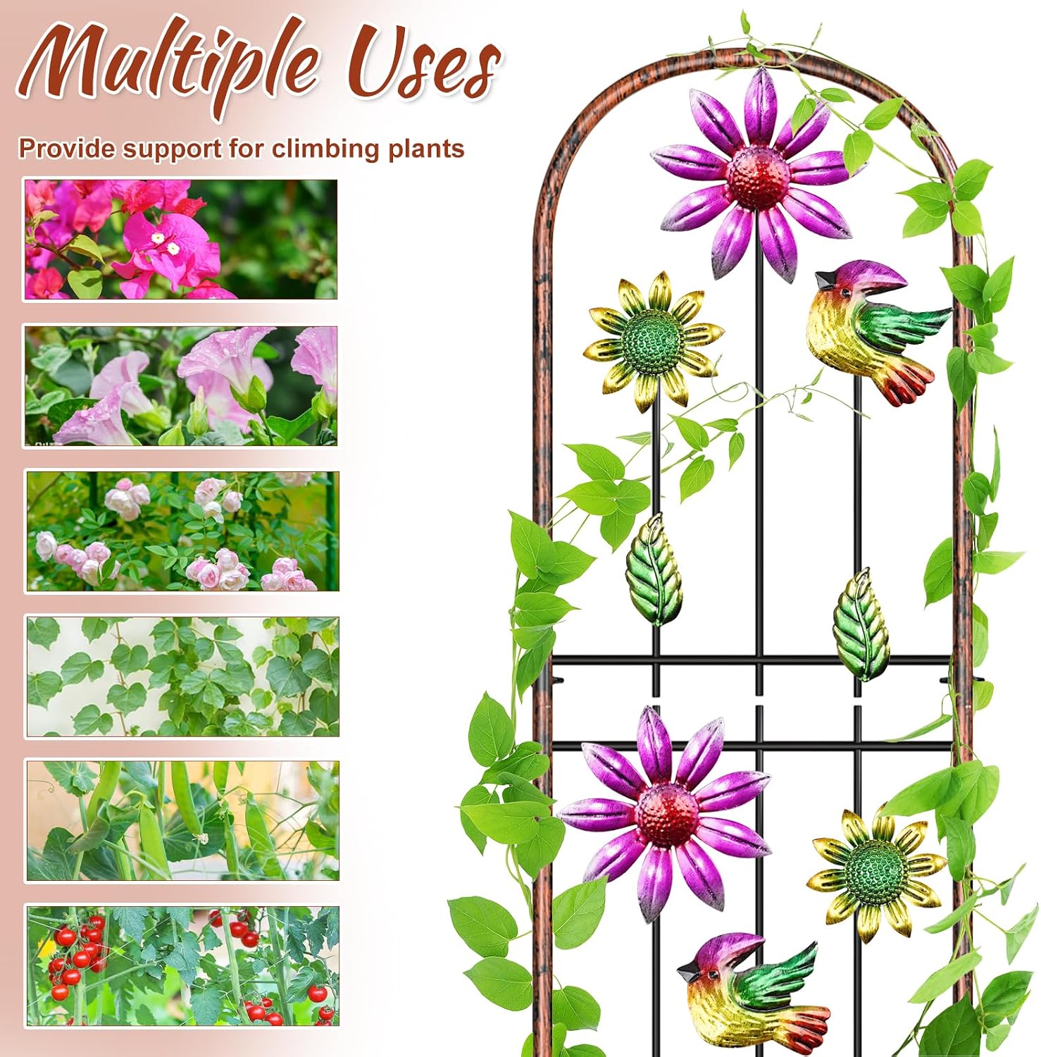 Metal GardenTrellis, Arched Fence Trellis Plant Support Trellises, Supporting Plants Outdoor Decoration for Climbing