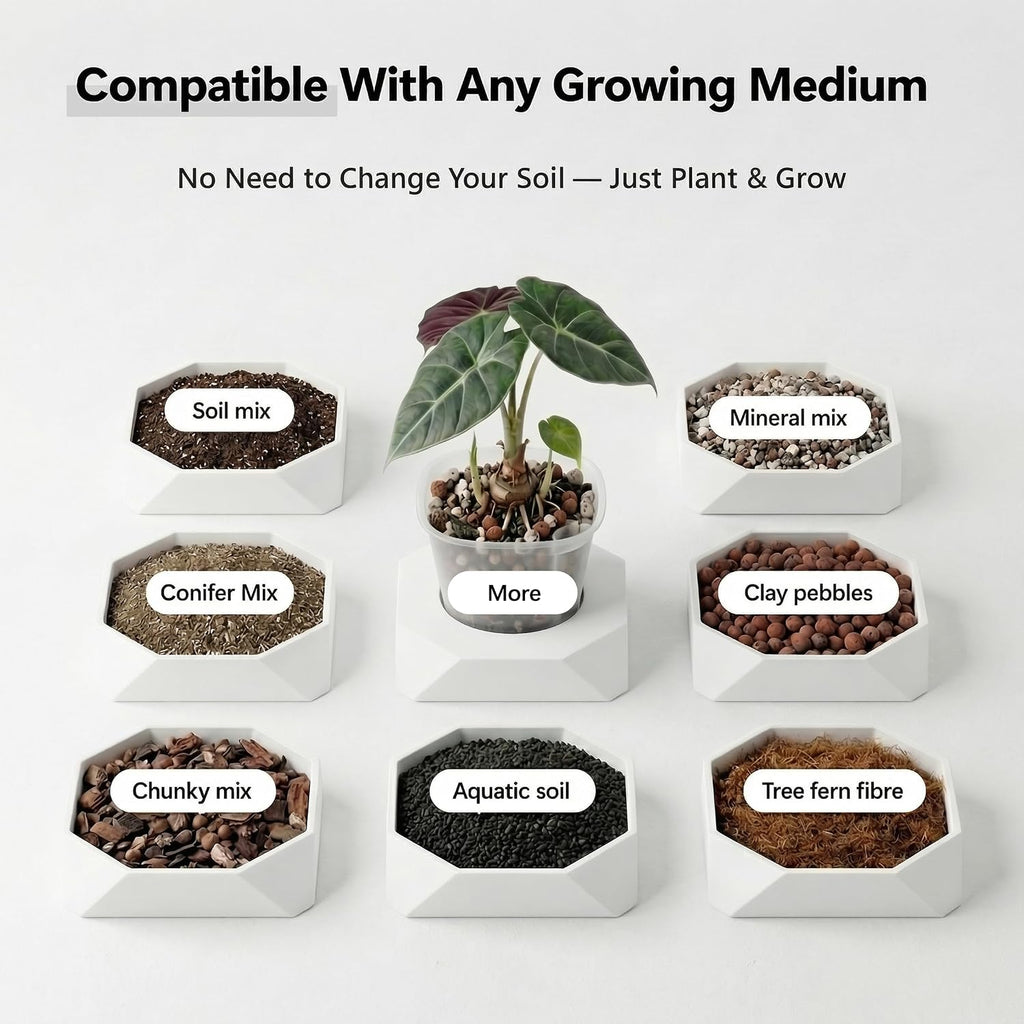 10 Pack 4" Self Watering Small White Plant Pots for Indoor Plants, Clear Inner Cup, Water Level Indicator, Drainage