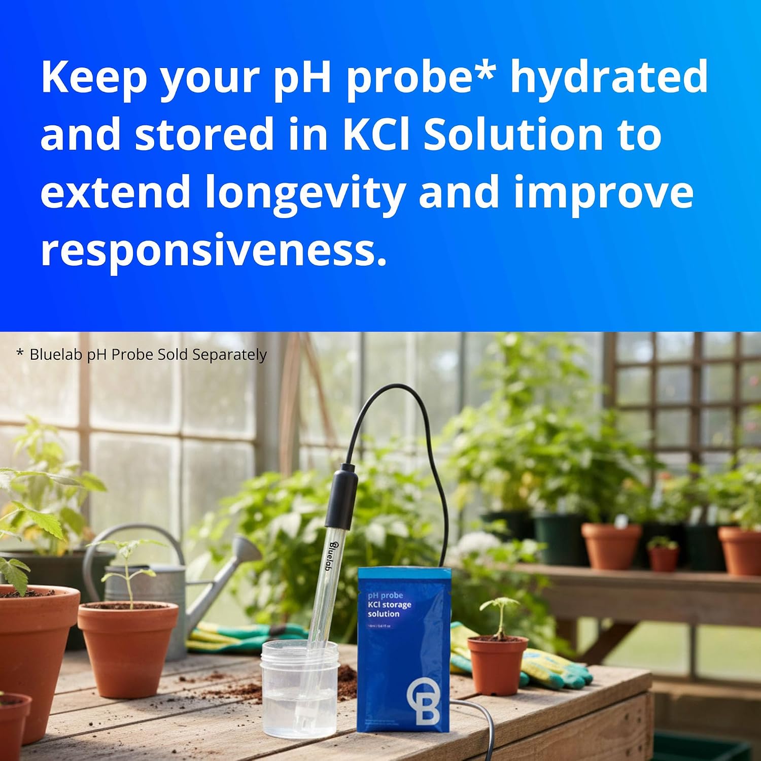 Bluelab CAREKITPH pH Probe Care Kit with Calibration Solution, Storage Solution, and Brush, Used for pH Pen, Meter