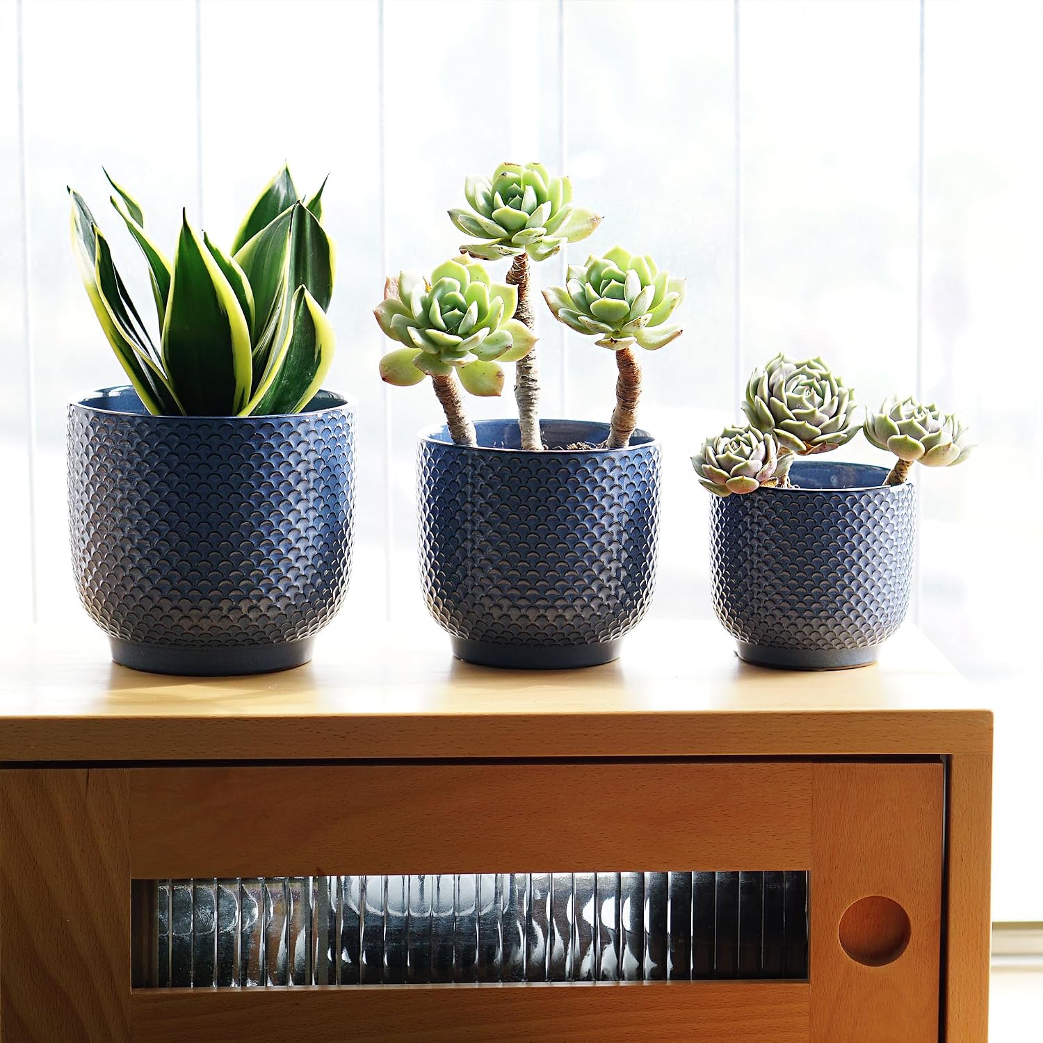 4 + 5 + 6 Inch Ceramic Pots for Indoor Plants, Succulents Plant Pots, Orchid Flower Pot with Drainage Hole, Modern Clay