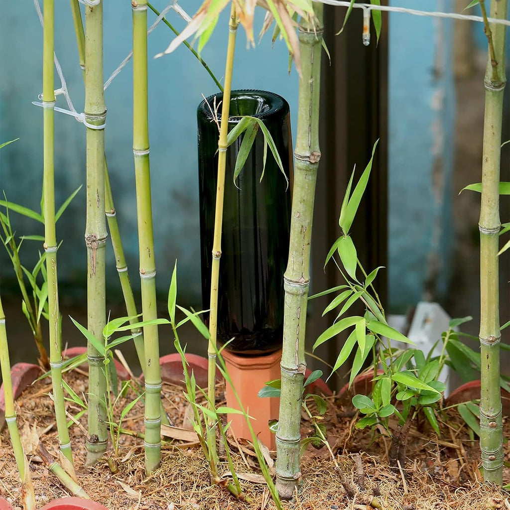 Jovitec 10 Pieces Terracotta Plant Watering Stakes Self Watering Spikes Automatic Plant Waterers Devices for Indoor