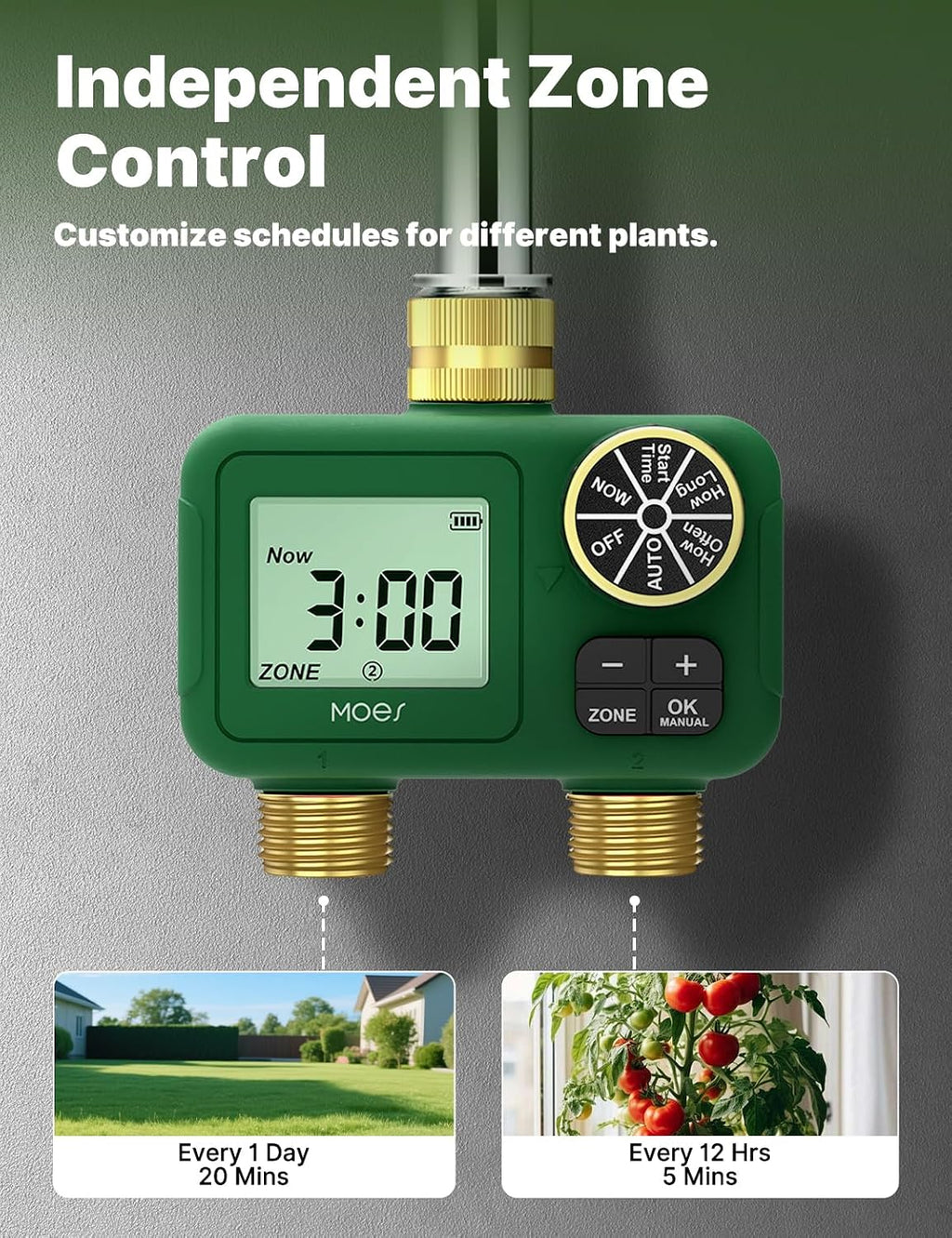 MOES 2 Zone Water Timer, Brass Fittings, Rain Delay, No Wi-Fi Required | 2 Independently Programmable Outlets With 3/4