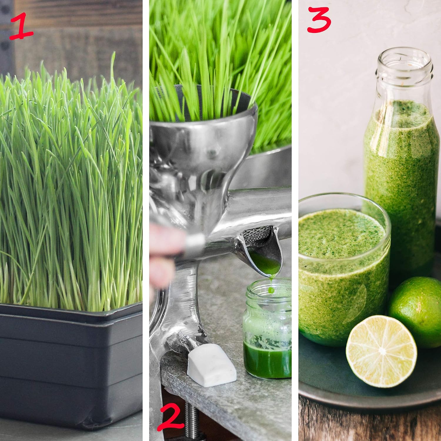 Handy Pantry 10-Pack 1020 Garden Growing Trays Without Drain Holes 10" x 20 | Plastic Plant Trays No Holes for
