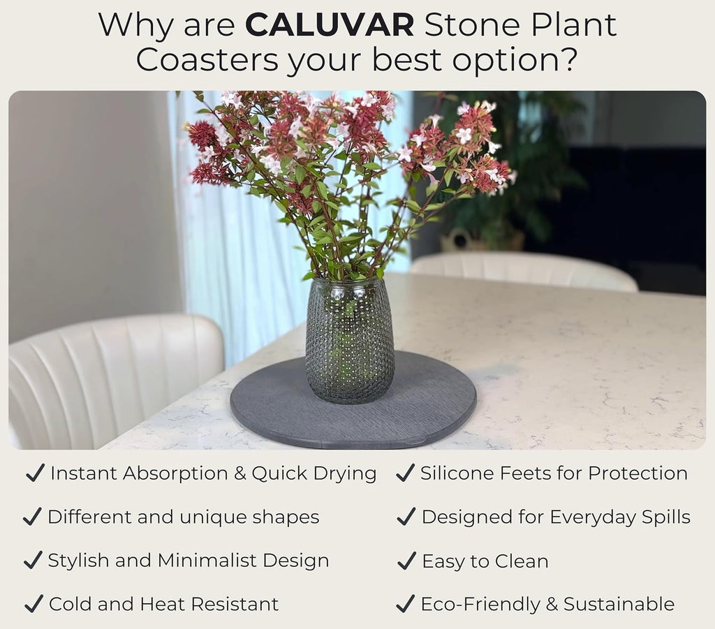 Stone Plant Saucer Set of 2 Large 11.5 in, Absorbent Diatomaceous Earth Plant Tray for Indoor Plants, Plant Pot Saucer