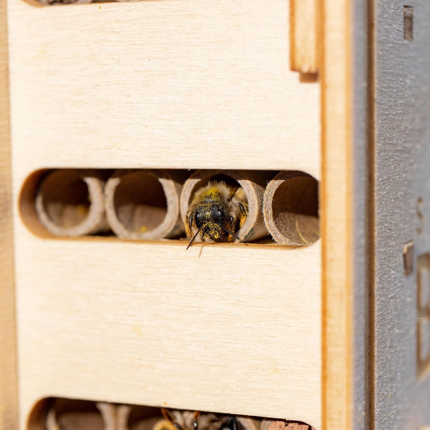 DIY Solitary Bee Hotel Kit – Make Your own Home for Wild Bees. Bee-Friendly Gift for Nature Lover. 190 x 215 x 70mm