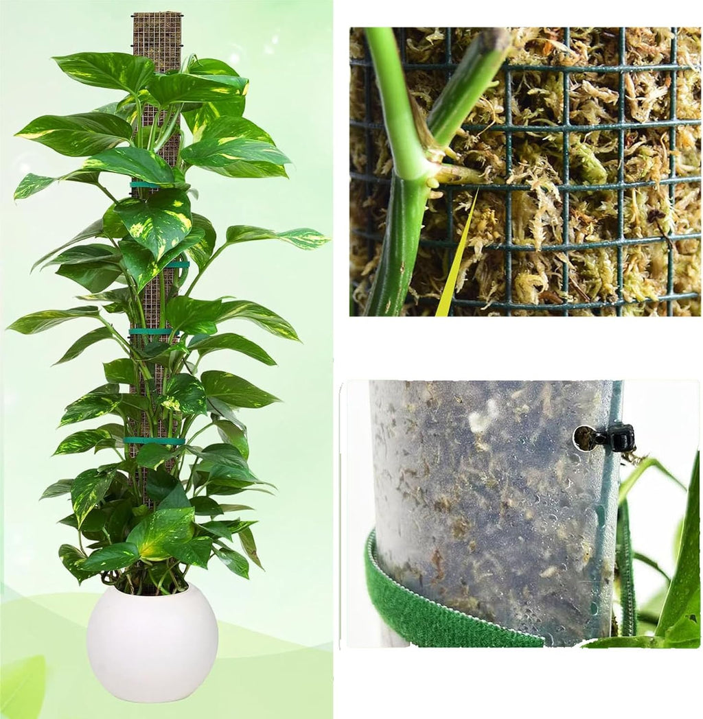Moss Pole DIY Kit, D Shape Sphagnum Moss Pole Monstera Plant Support for Climbing Plants, DIY Plant Stakes Work with