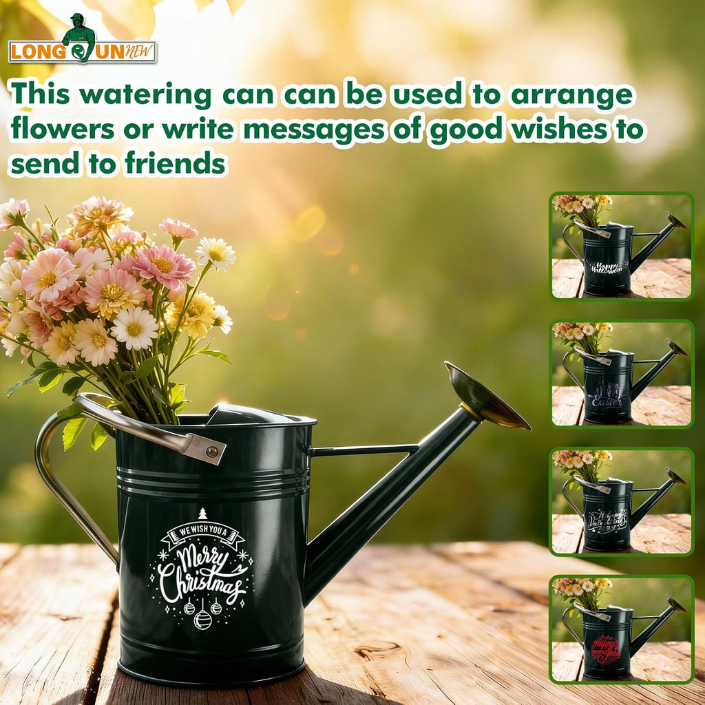 Galvanized Iron Watering Can for Indoor Plants, DIY Watering Cans for House Plant Garden Flower, Long Spout Water Can