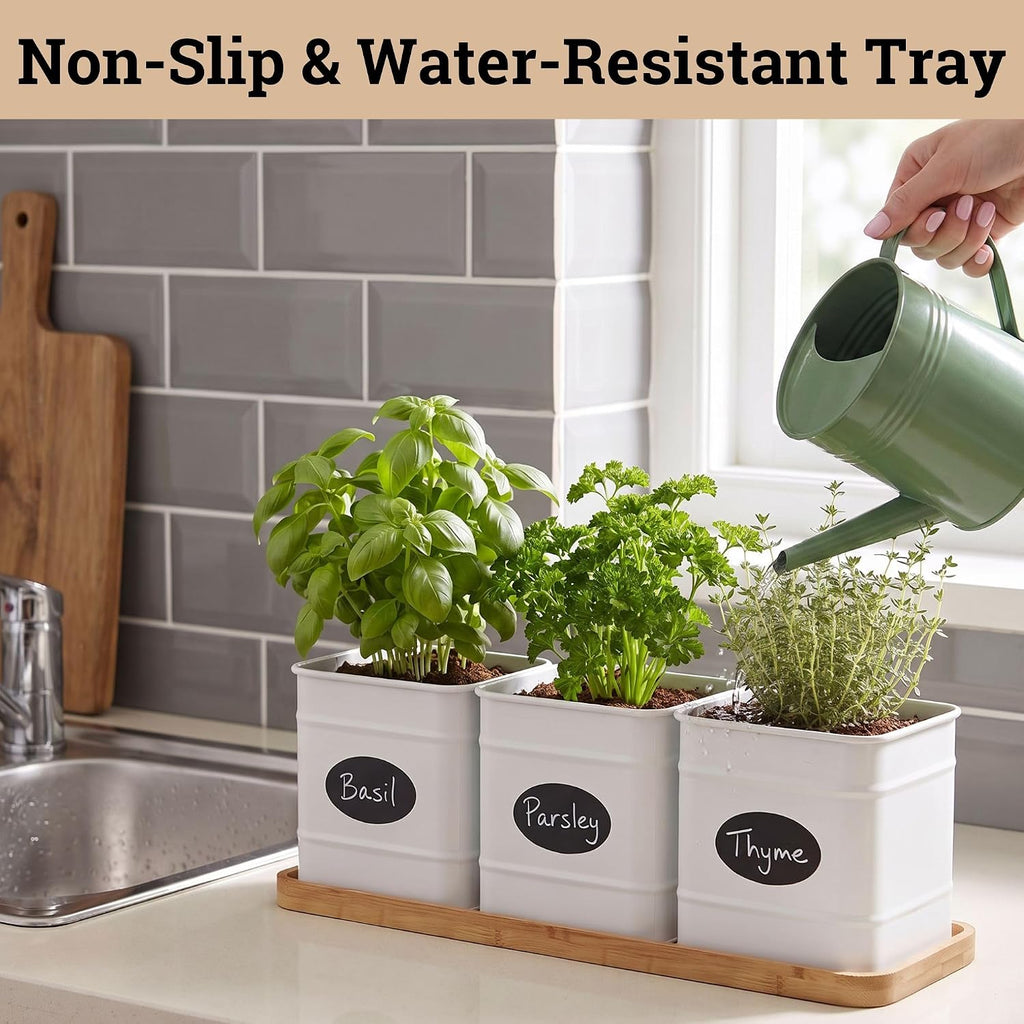Herb Planter Indoor, 3-pc Herb Pots w/ Drainage Holes, Bamboo Tray & Labels | Iron Herb Pots, Varnished Bamboo Tray