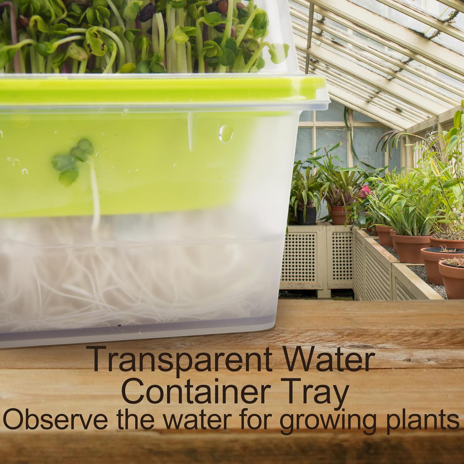 Microgreen Growing Trays, 5" x 5" Sprouting Tray with Humidity Dome, 1.2 mm Small Mesh Holes, BPA Free, Sprouter Kit