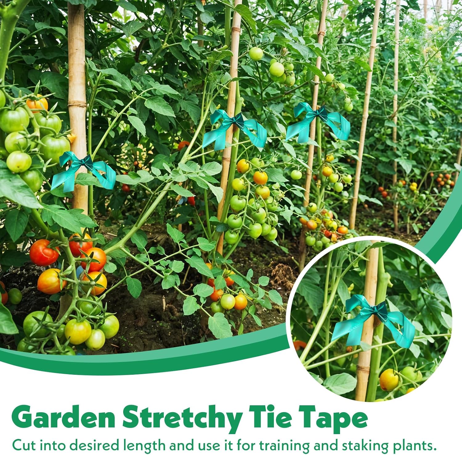 24 Pcs Stretch Tie Tape, 150 Feet x 1/2" Wide Reusable Garden Plant Ties Green Tapes for Plants, Thick Garden Vinyl