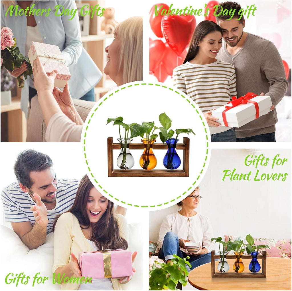 Plant Propagation Station Plant Terrarium Unique Birthday Gifts for Women | Plant Lovers Home Office Decor Planter with