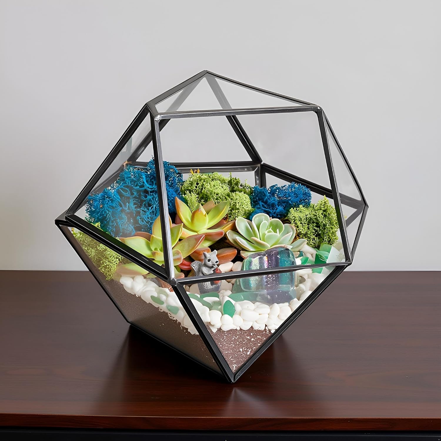 Creations by Nathalie DIY Geometric Terrarium Kit with Live Plant and Moss | DIY geometric glass terrarium kit with