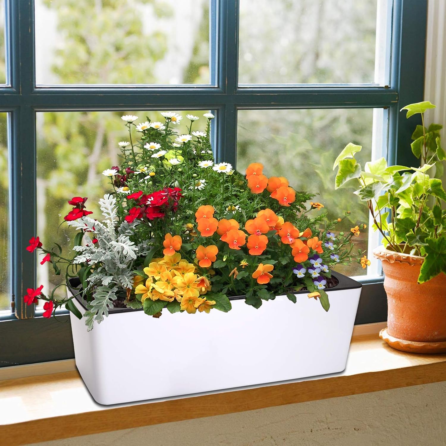 Fasmov 2 Pack Rectangle Self Watering Planter with Water Level Indicator, 16x 5.5 Inch Window Gardening Box, Decorative