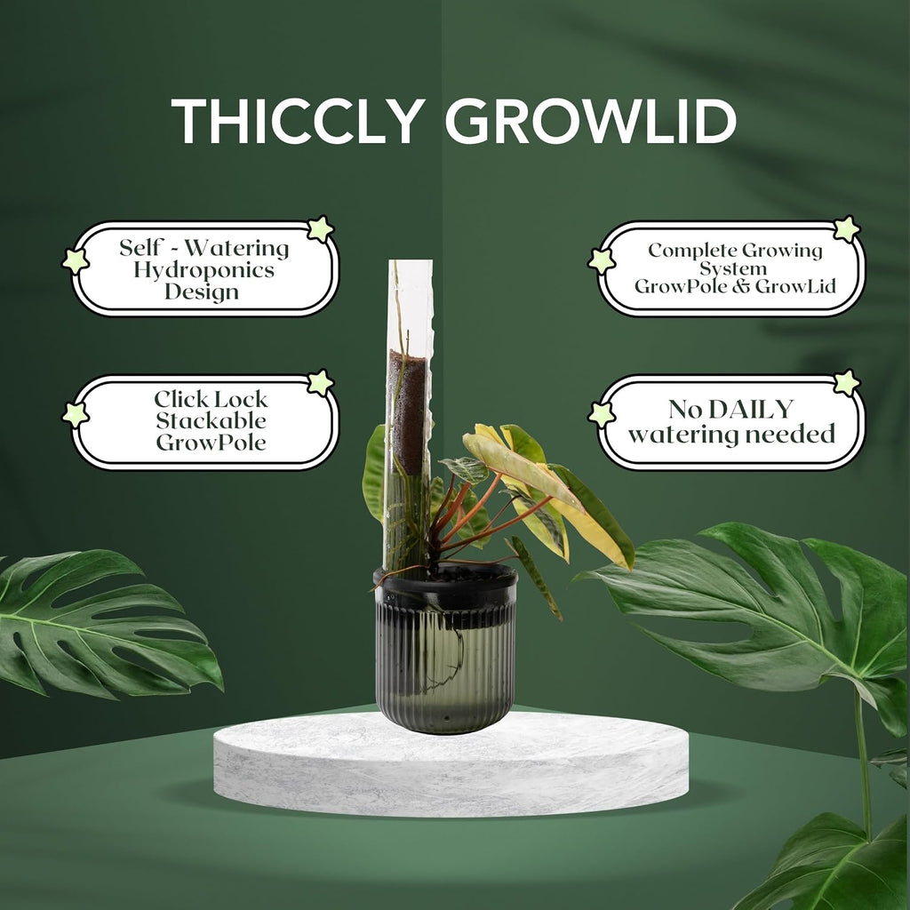 THICCLY Small GrowLid 10 Pcs (Clear) - Self Watering Clear D-Shaped Plastic Moss Pole Hydroponics Growing System Kratky