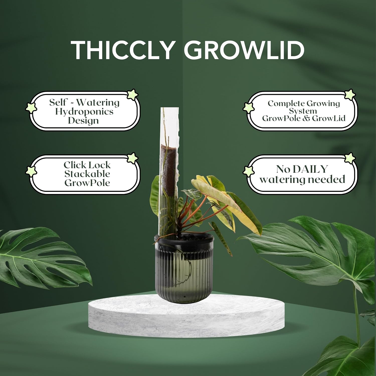 THICCLY Small GrowLid 10 Pcs (Clear) - Self Watering Clear D-Shaped Plastic Moss Pole Hydroponics Growing System Kratky