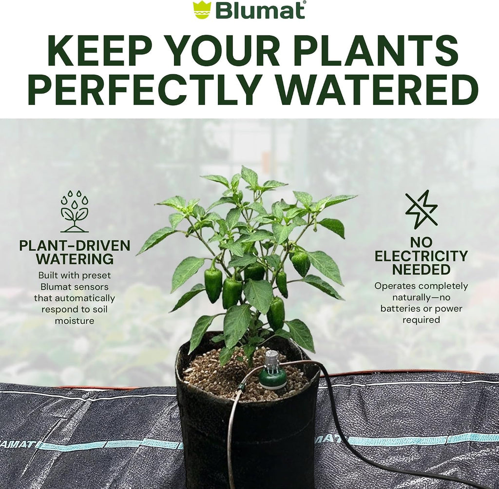 Grow Tent Irrigation Preset Blumat Kit for 4' x 4' Capillary Mat (Bucket not Included)