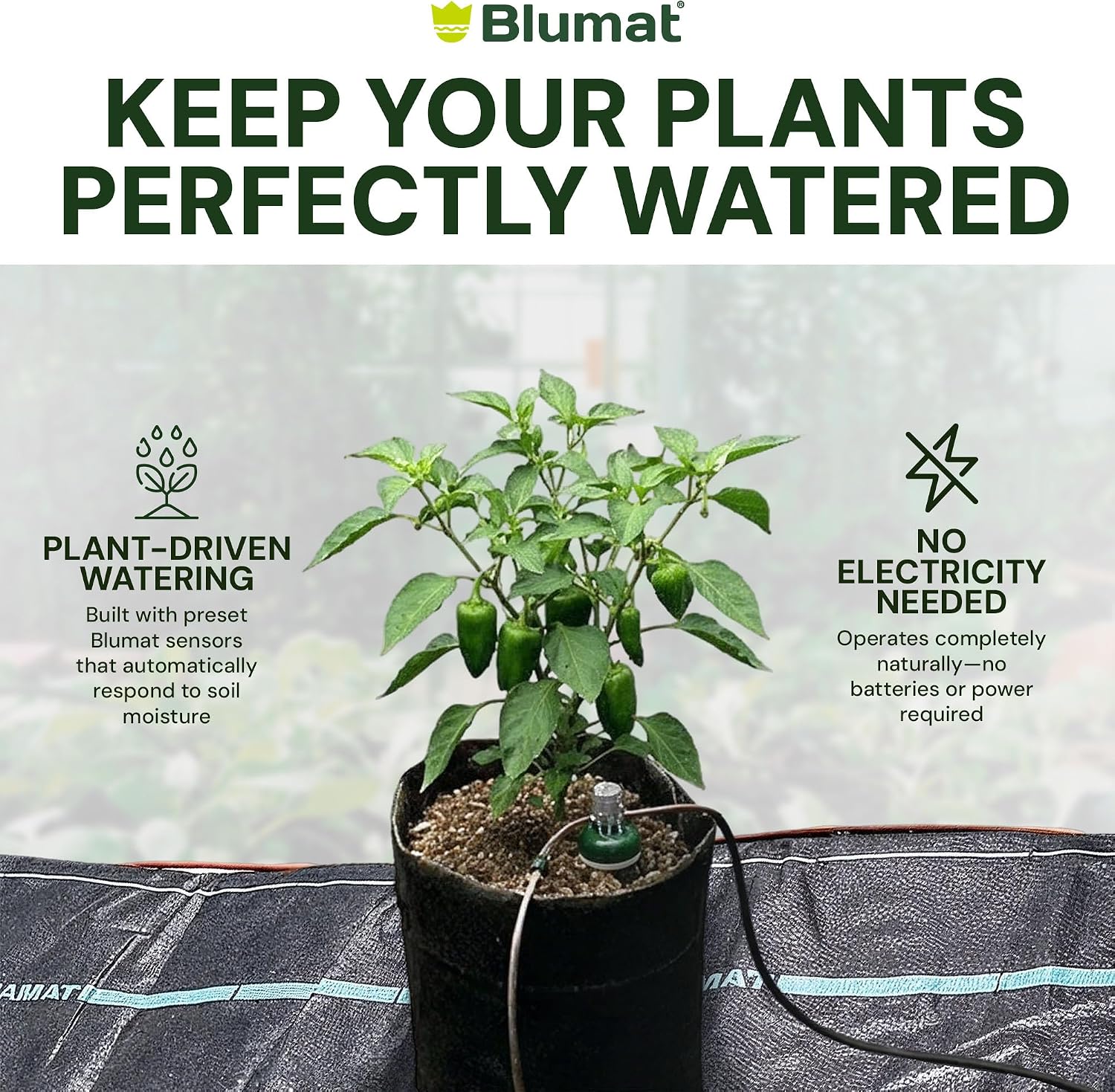 Grow Tent Irrigation Preset Blumat Kit for 4' x 4' Capillary Mat (Bucket not Included)