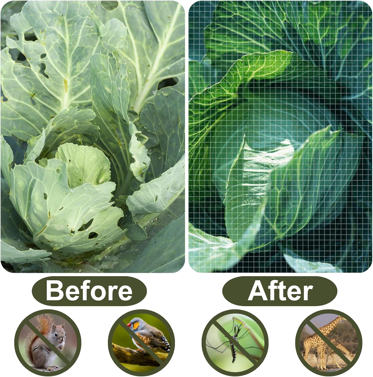 Garden Netting Pest Barrier, 10x50 FT Ultra Fine Mesh Insect Netting | Plant Cover for Raised Beds, Vegetables