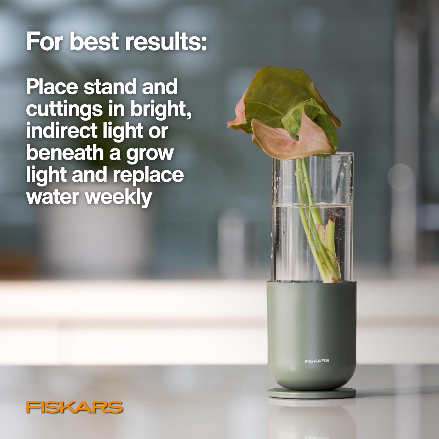Fiskars Plant Propagation Set, Glass Vase Hydroponic Growing System, 3-Pack | Metal Stands for Root Cuttings