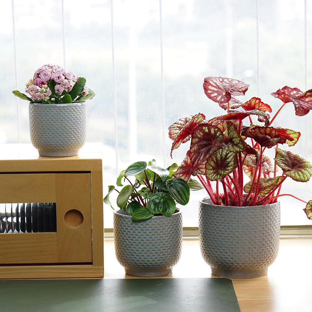 4 + 5 + 6 Inch Ceramic Pots for Indoor Plants, Succulents Plant Pots, Orchid Flower Pot with Drainage Hole, Modern Clay