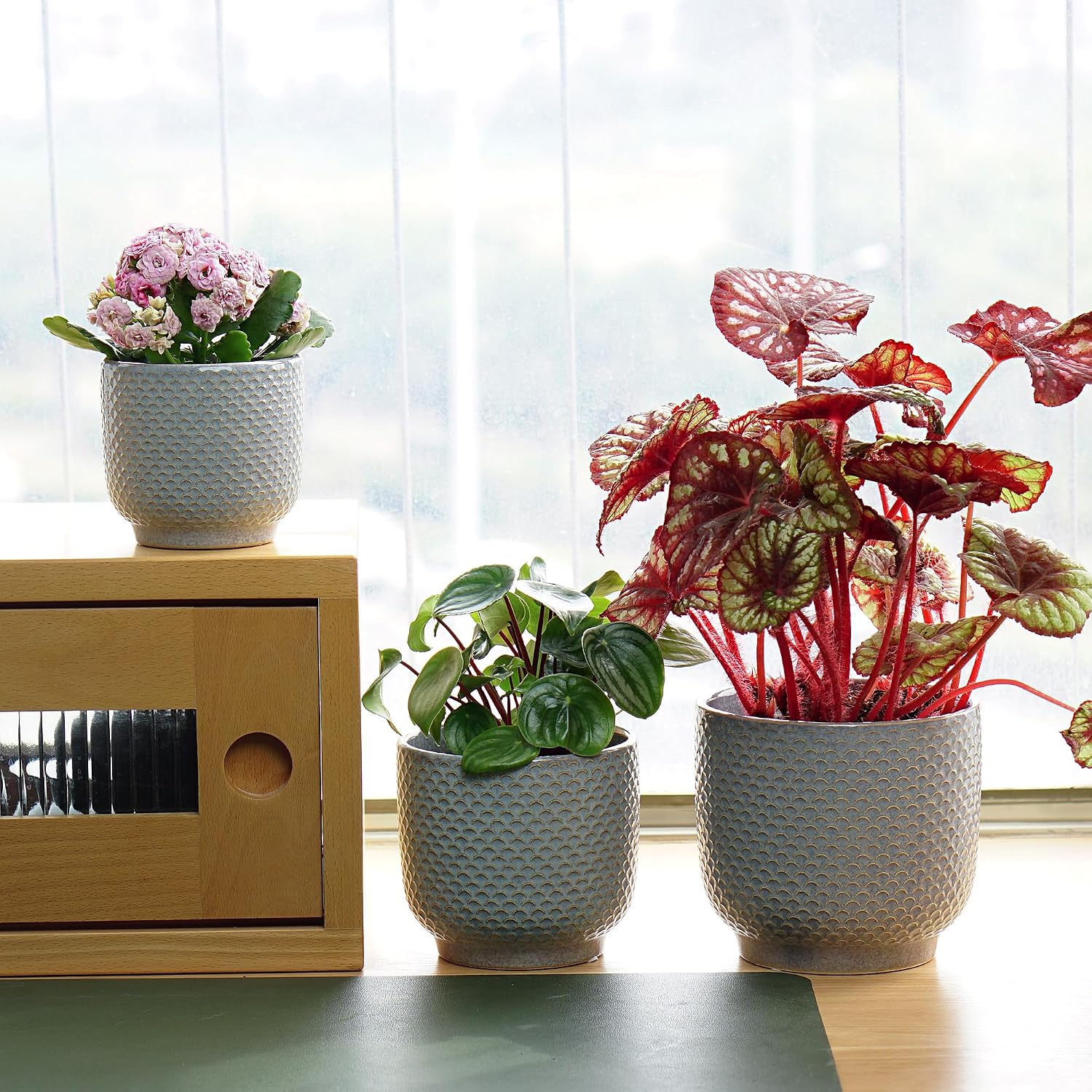 4 + 5 + 6 Inch Ceramic Pots for Indoor Plants, Succulents Plant Pots, Orchid Flower Pot with Drainage Hole, Modern Clay