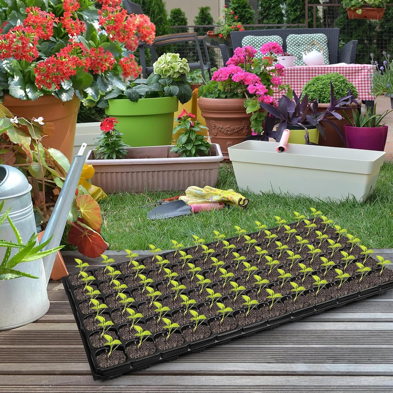 Seed Starter Kit 10 Pack-72 Cell Seedling Trays Gardening Germination | Plastic Nursery Pots Mini Plant Plug Starting