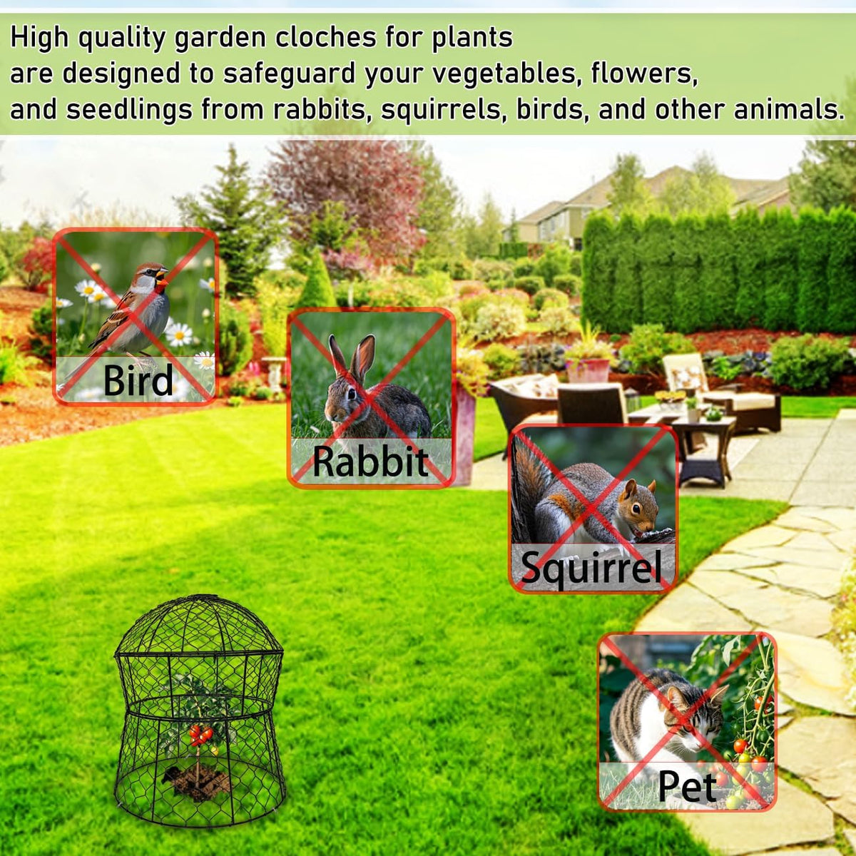 Garden Cloches for Plants 2 Pack Metal Plant Protectors from Animals Chicken Wire Cloche Updated Plant Cages for