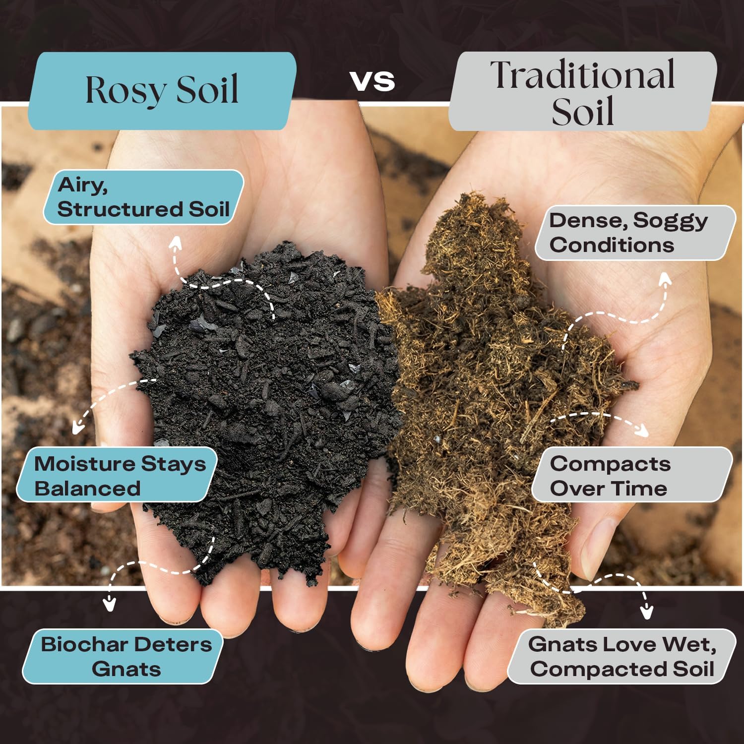 Rosy Soil Houseplant Potting Soil, Organic Indoor Potting Mix, 8 Quarts | Biochar and Worm Castings, For Monstera