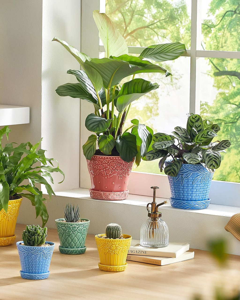 Metahom Ceramic Plant Pots, 5.8 Inch Flower Pots for Indoor Plants, Planters with Drainage Hole & Saucer, Garden