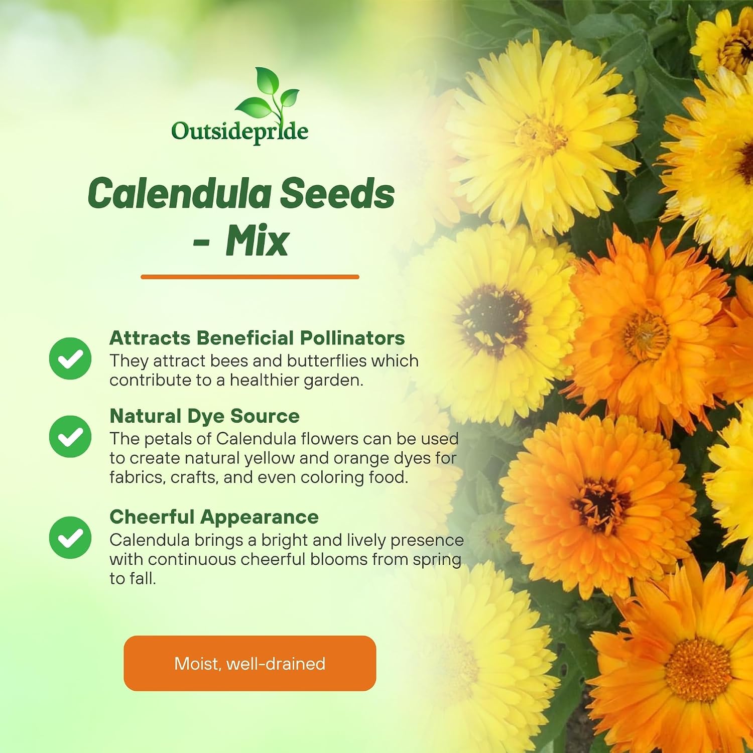 Outsidepride Mix Calendula Seeds - 5 lb. Annual Edible Flower Seeds for Planting for Dishes & Wellness Uses, with