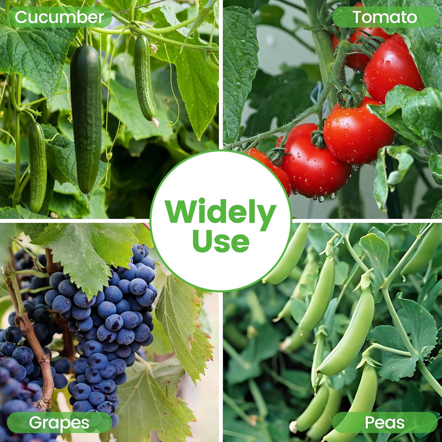 Foldable Cucumber Trellis 48" L x 34" W | A-Frame Trellis, Climbing Plants Support Raised Bed Trellis with Twist Ties &