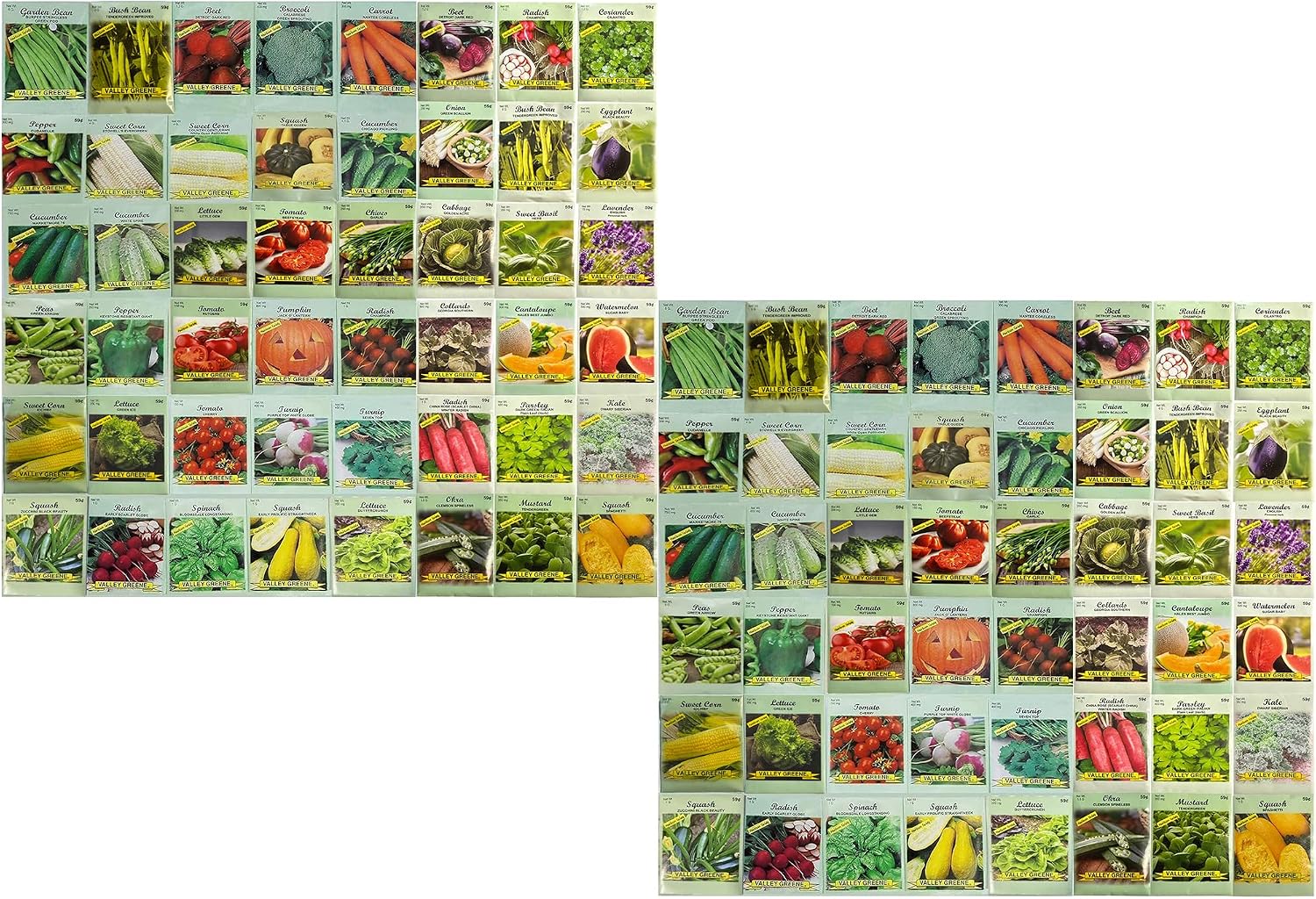Set of 100 Packs of Valley Greene Assorted Heirloom Vegetable Seeds 100% Non-GMO