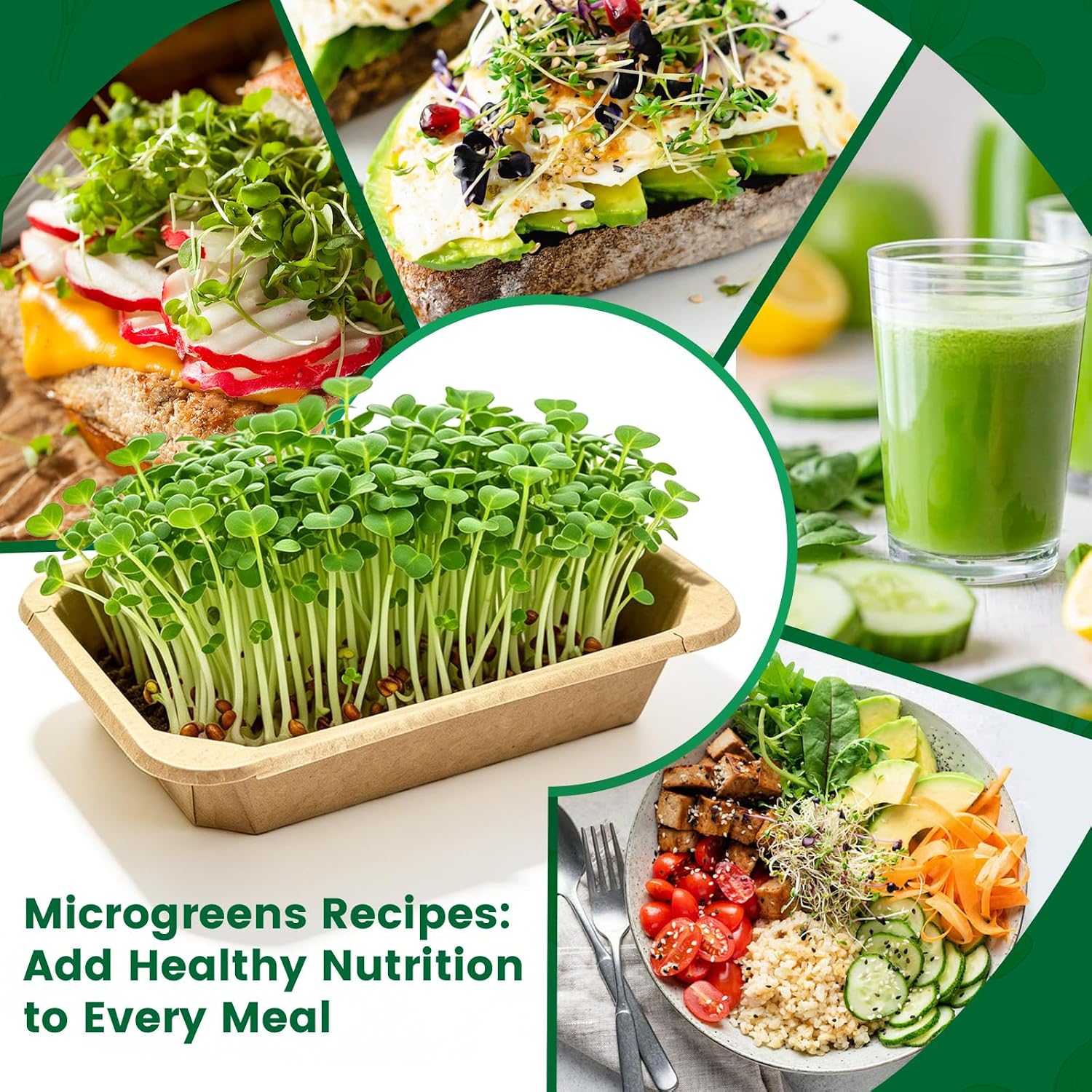 Microgreens Growing Kit Indoor Garden - Complete Micro Greens Growing Kits with 5 Seed Packs - Grow Broccoli, Arugula