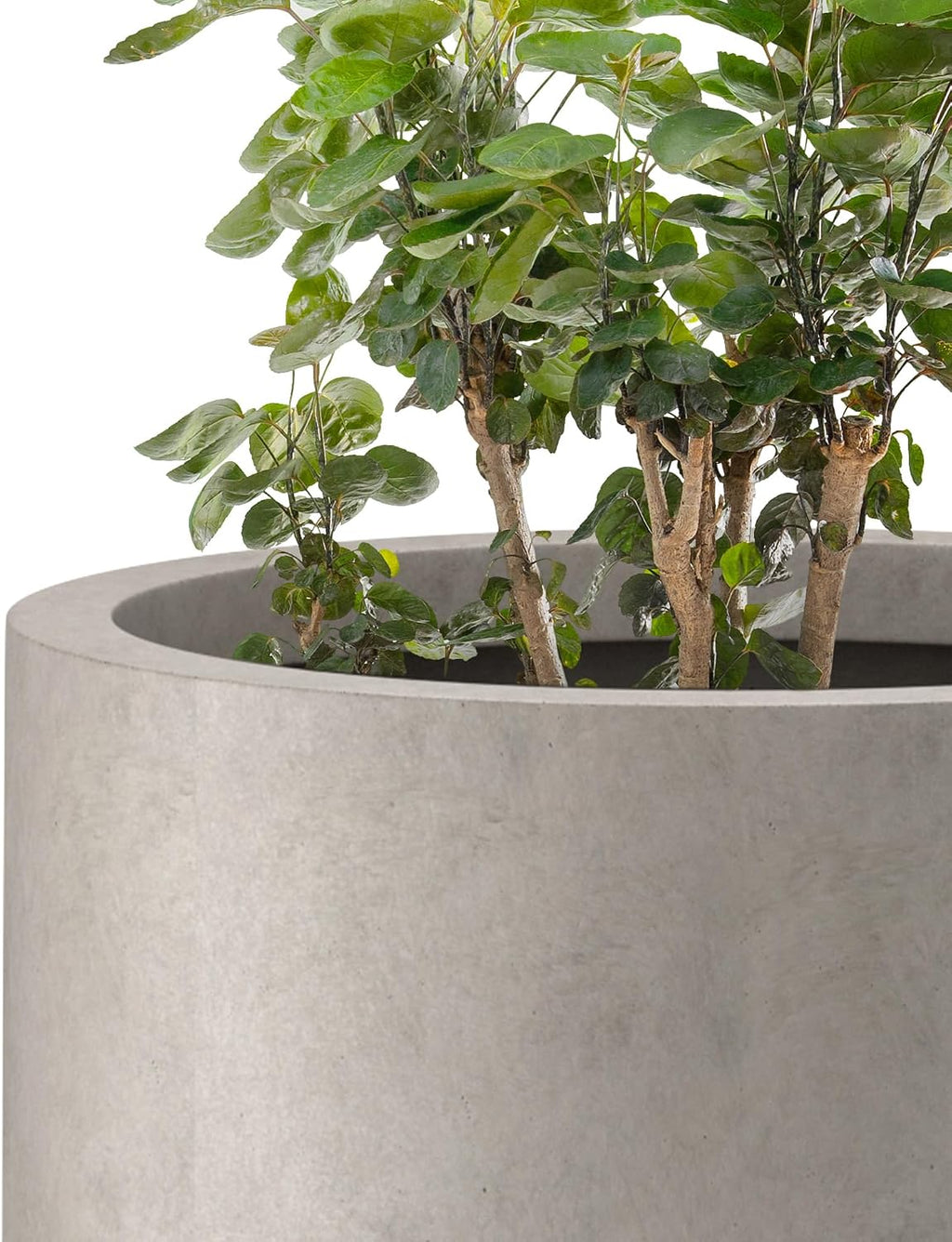 Kante Large Round Tapered Weathered Concrete Planter 24" Tall, Outdoor | Rubber Plug for Indoor, Drainage for Garden