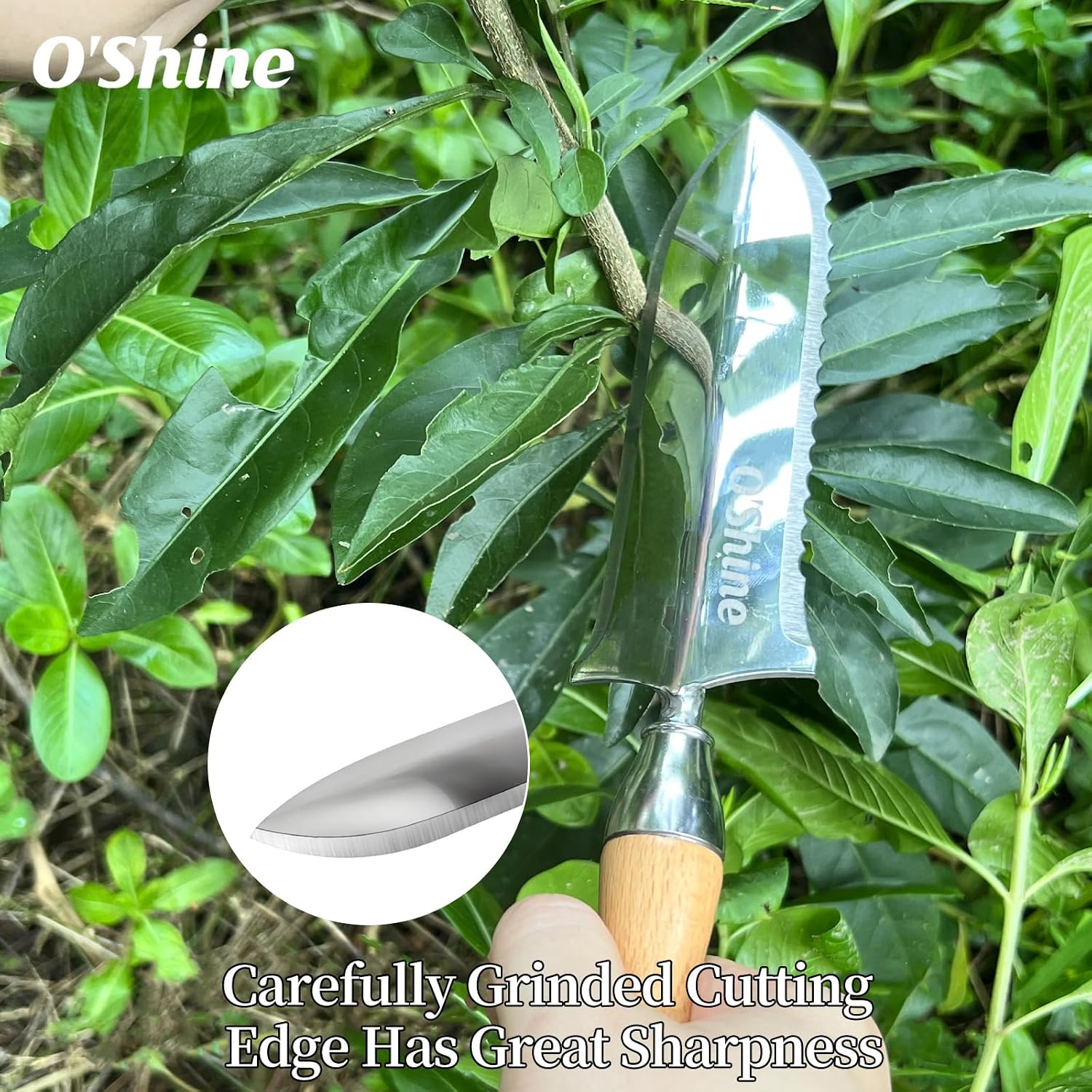 O'Shine 5.5” Full Tang Japanese Hori Hori Garden Knife, Stainless Steel Small Soil Knife for Planting & Transplanting