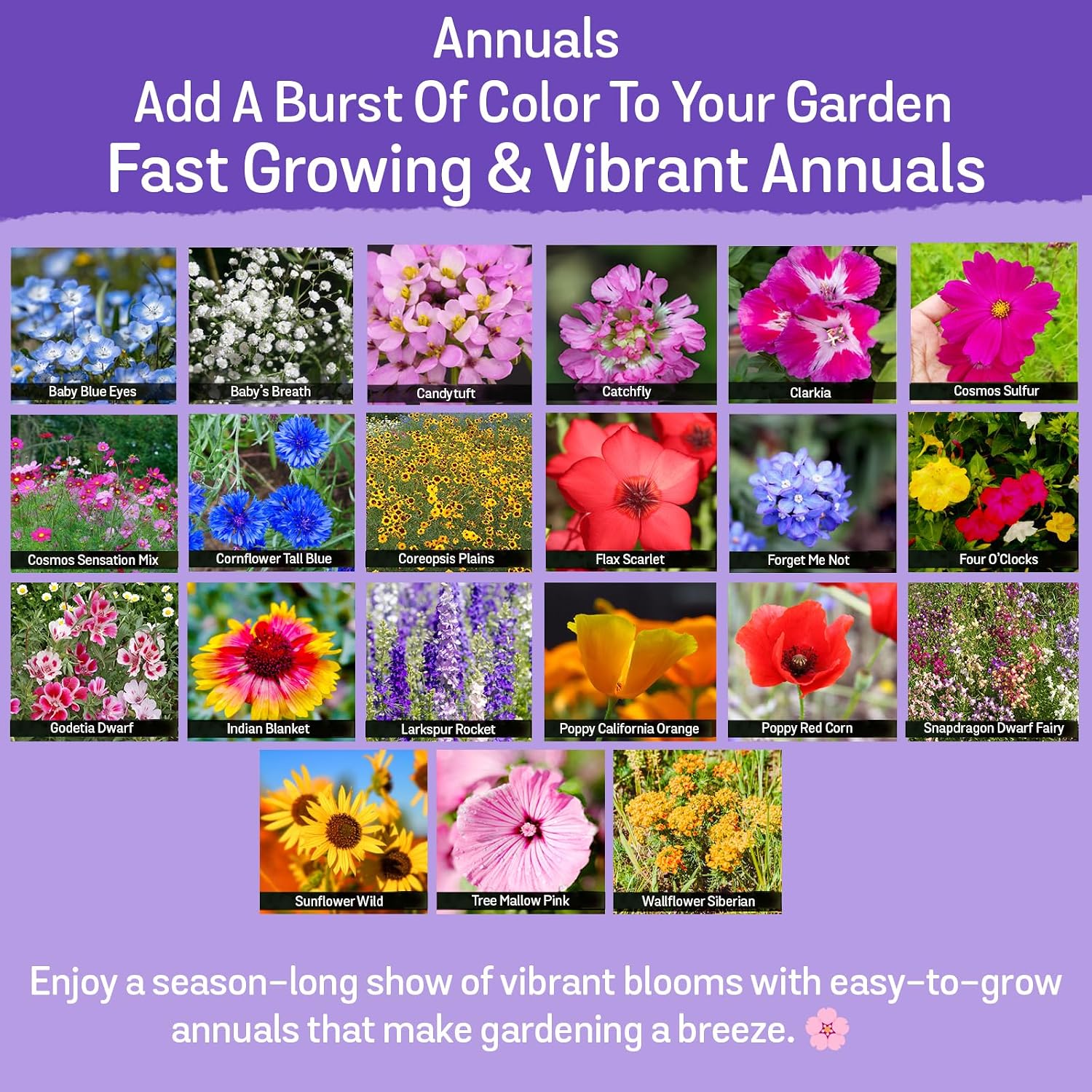 NatureZ Edge Wildflower Seeds, 1/2 lb, 340,000 Seed, 35 Variety Perennial & Annual Flower Seeds to Plant Outside, Bulk