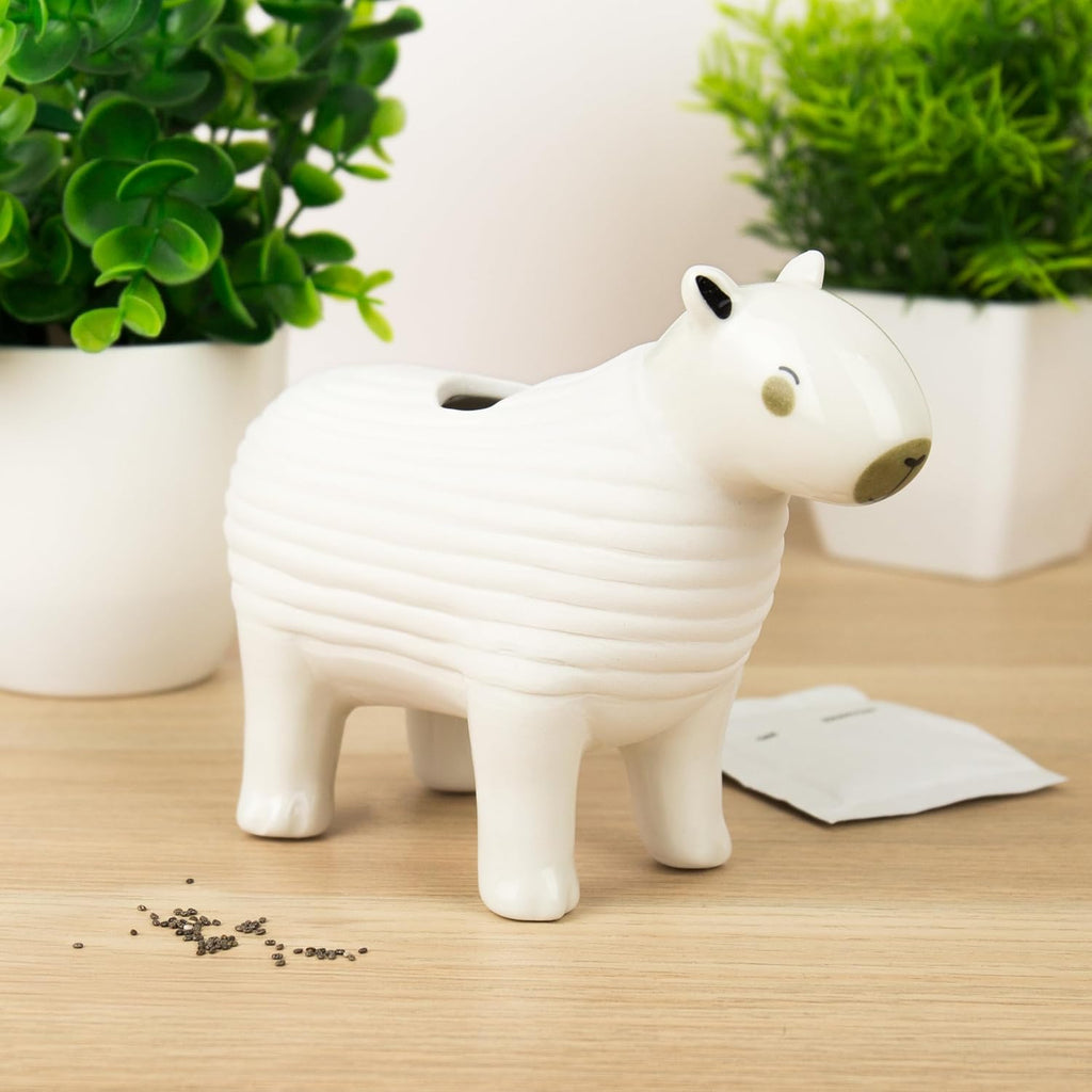 Gift Republic Capybara Chia Planter Desktop Sprouting Chia Animal Fun Grow Kit