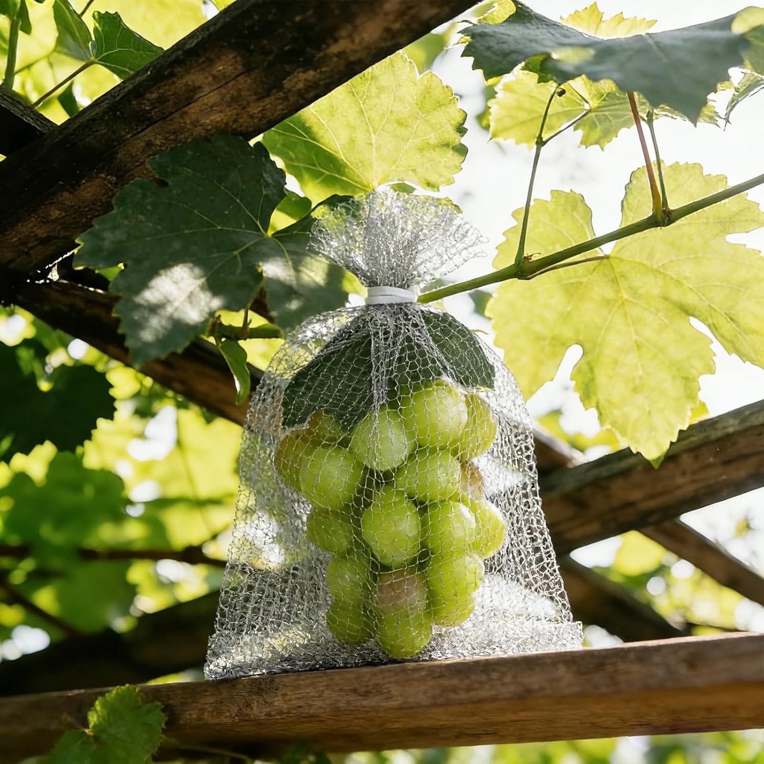 30 Pack 8 x 12 Inches Fruit Protection Wire Mesh Bags | Stainless Steel Wire Mesh, Orchard Garden Vegetable Fruits