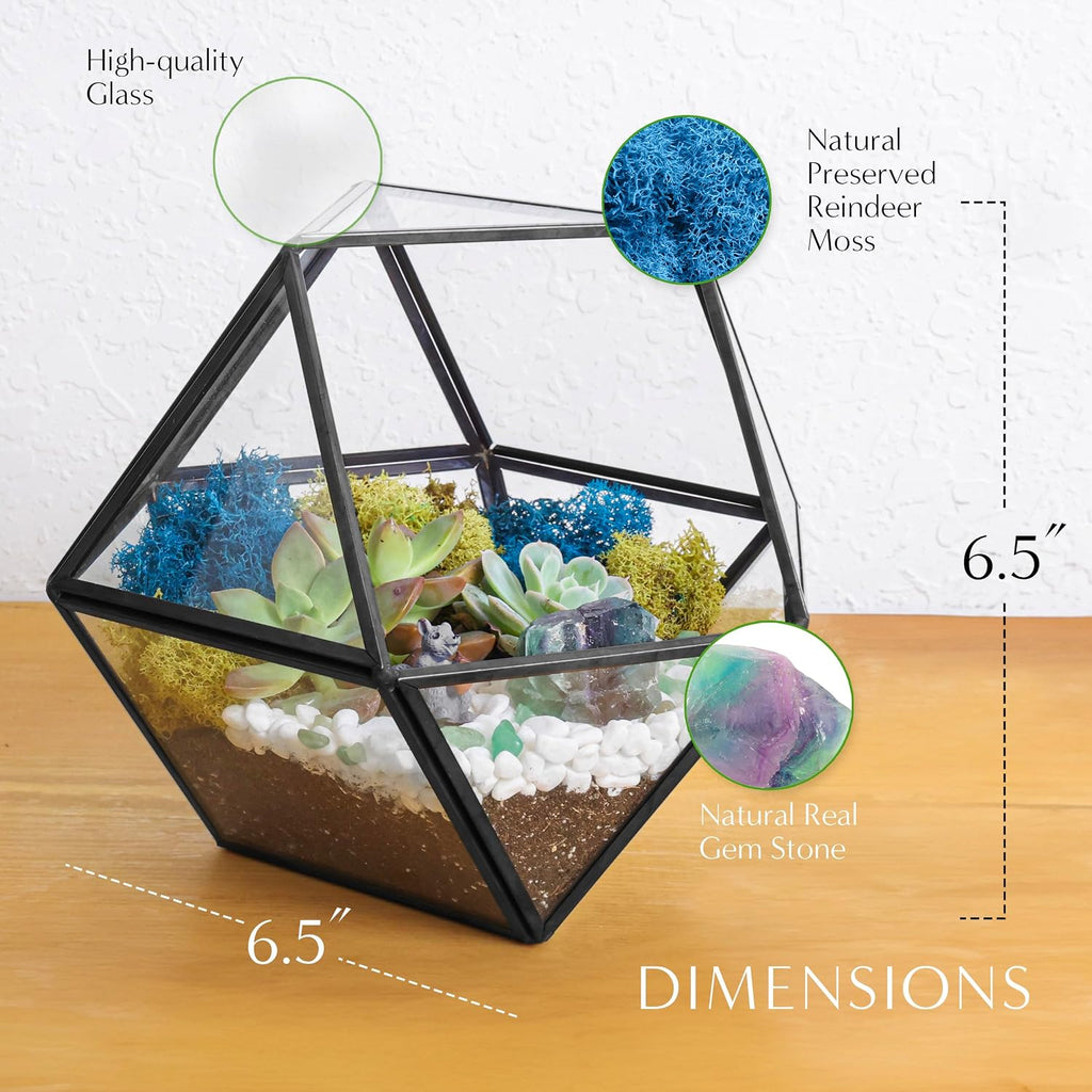 Creations by Nathalie DIY 7" Chalice Glass Terrarium Kit with Moss & Tools | DIY geometric glass terrarium kit with