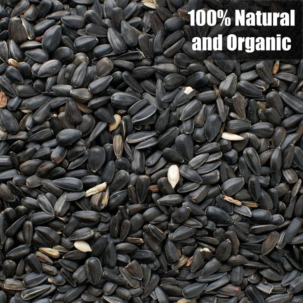 Wildlife Black Oil Sunflower Seeds for Birds and Wildlife, Non-GMO & USA Grown on Small Farms (50 lbs)
