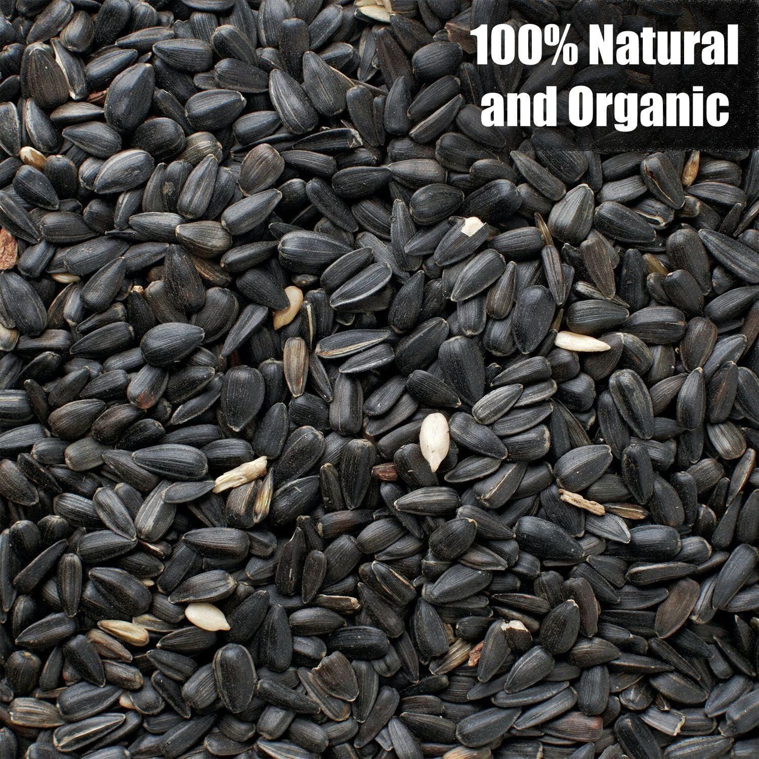 Wildlife Black Oil Sunflower Seeds for Birds and Wildlife, Non-GMO & USA Grown on Small Farms (50 lbs)