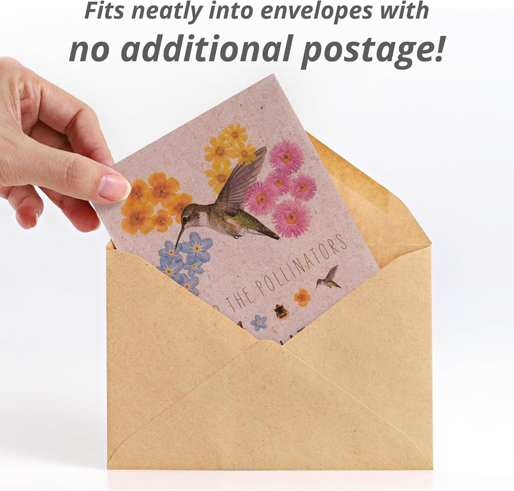 Bentley Wildflower Mix, Pre Filled Hummingbird Packets, 25 Annual Flower Packs, Perfect Eco-Friendly Gift for DIY