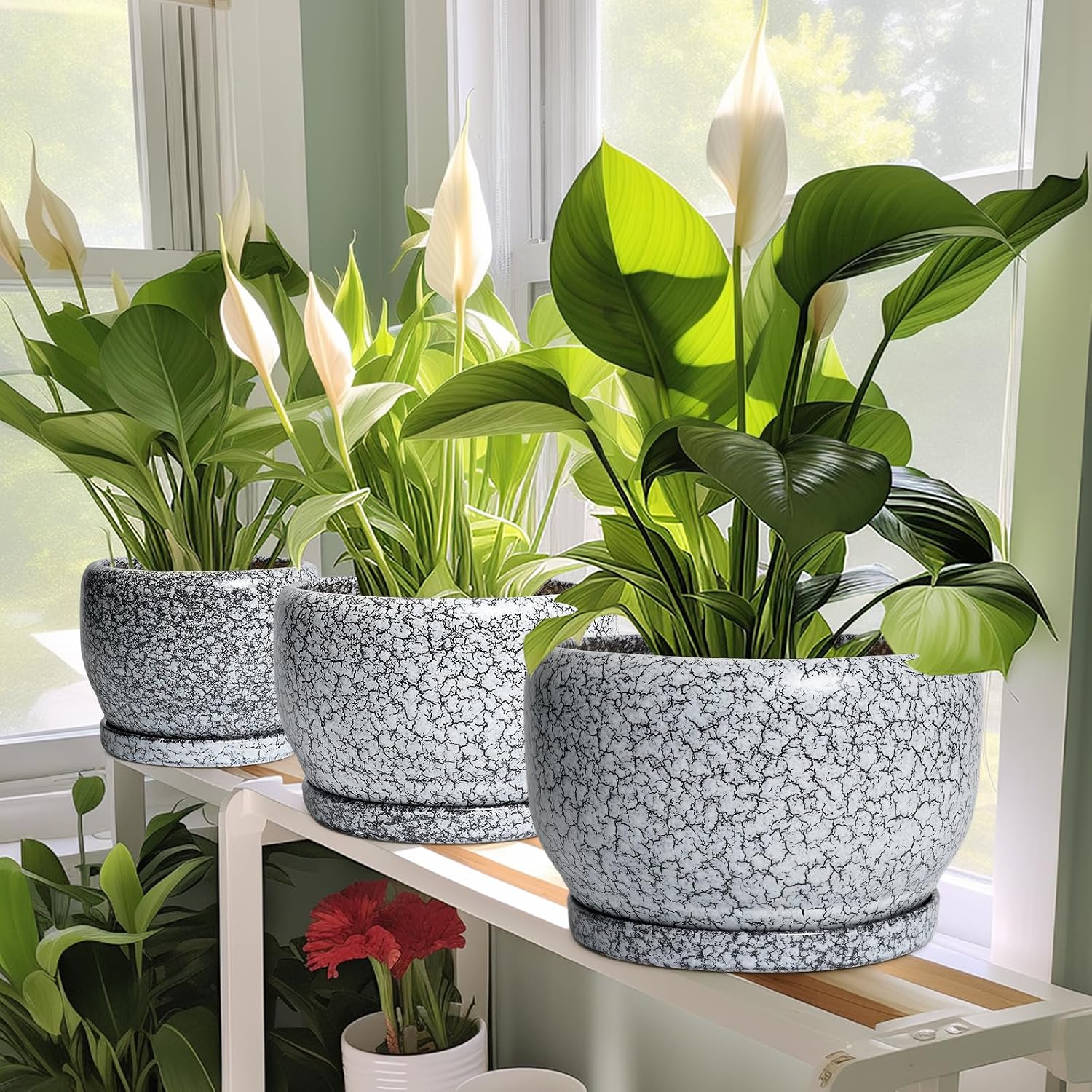 SQOWL 8 inch Plant Pot - Ceramic Planter with Drainage Hole and Saucer, Round Flower Pot for Indoor Plants, Decorative