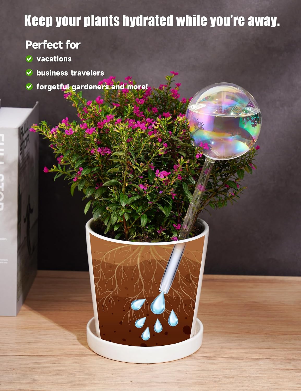 Tomorotec Glass Plant Watering Globes, Self Watering Spikes 2 Large+2 Small | Handcrafted Automatic Irrigation Spikes